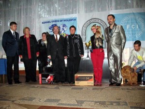 Международная выставка собак FCI- CACIB "Приднестровские встречи- 2010"