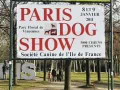 Международная выставка собак FCI- CACIB "Paris Dog Show 2011"