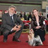 International Dog Show Voronezh Russia 2011