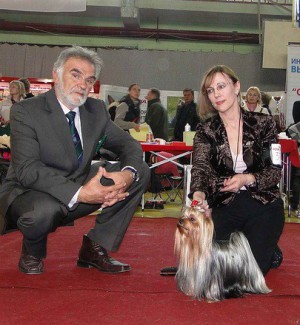 International Dog Show Voronezh Russia 2011
